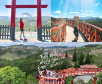Top 10 địa điểm check-in tại Đà Lạt 