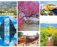 Thuê xe ô tô du lịch Đà Lạt