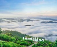 Tour du lịch Đà Lạt giá rẻ 2023 và những điểm đến thú vị