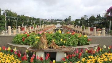 Dalat flower garden