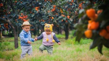 Surprising by the wonderful Da Lat’s rose garden