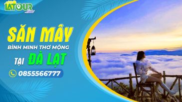 Dịch vụ thuê xe du lịch ở Đà Lạt