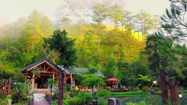 Enchanted “Ma Rung Lu Quan” in Dalat