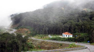 Trekking through the largest pine forest in Vietnam