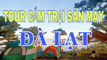 Tour cắm trại Đà Lạt hot nhất 2021