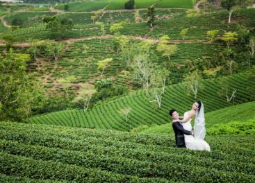 Tour du lịch Hà Nội- Đà Lạt 3 ngày 2 đêm 