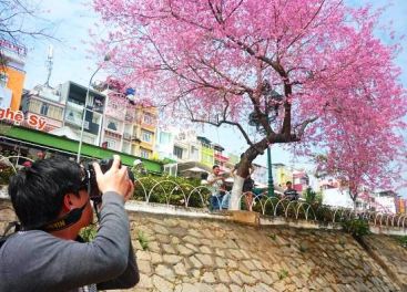 Tour du lịch Đà Lạt 2 ngày 1 đêm 