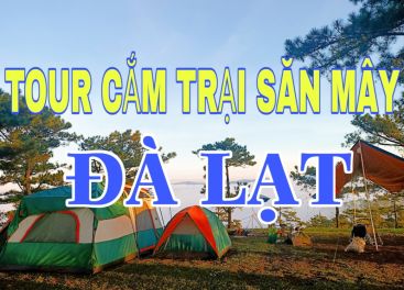 Tour cắm trại Đà Lạt 2 ngày 1 đêm