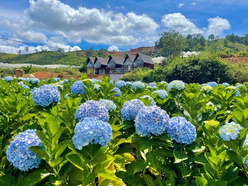 Đà Lạt - Thiên đường du lịch