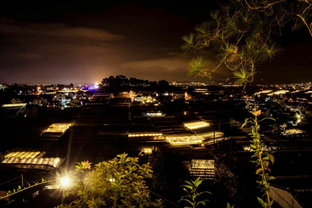 Đà Lạt Về Đêm
