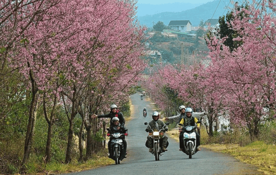 Kinh Nghiệm Thuê Xe Đà Lạt