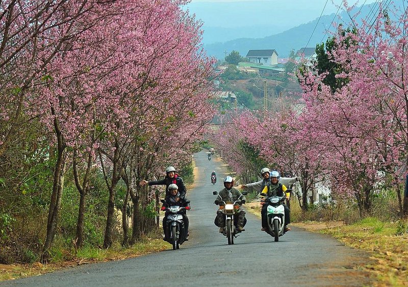 A group of people riding motorcycles on a roadDescription automatically generated