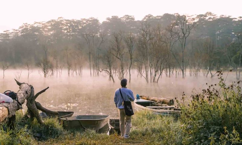 Suối Tía Đà Lạt