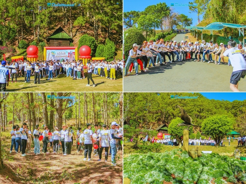 Vì sao nên đi Team Building Đà Lạt 