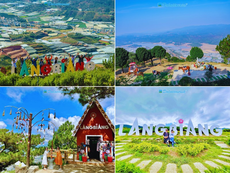 Tour Đà Lạt 5 ngày 4 đêm
