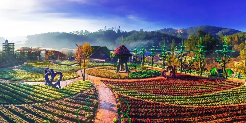 Tour tham quan Đà Lạt 3 ngày 2 đêm