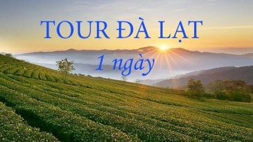 Gợi ý du lịch Đà Lạt 1 ngày nên đi đâu. Bí kíp