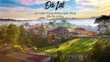 Tour Đà Lạt 1 ngày: Cùng