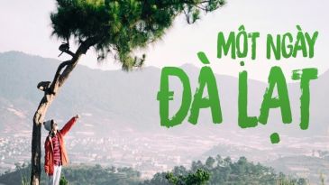 Bảng giá & lịch trình theo Tour trong ngày Đà Lạt – Hướng dẫn viên vui vẻ, nhiệt tình