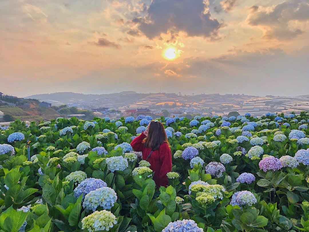 Phương tiện di chuyển tại Đà Lạt